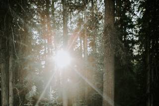 Aundrea Marie Photography - 13