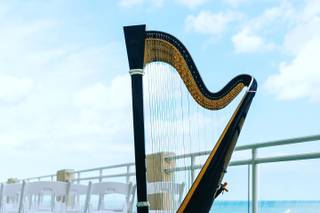 Vince Zentner Harpist - 9