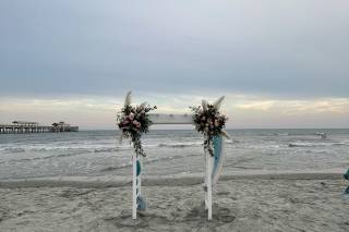 Southern Stems - 14