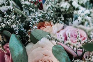 Bloominous - 73