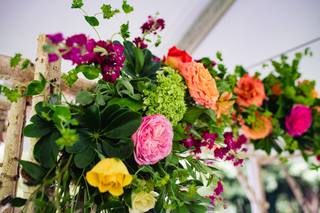 Sweet Pea - 33