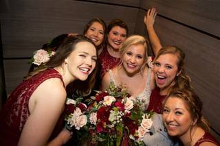 David Paul Photography - 19