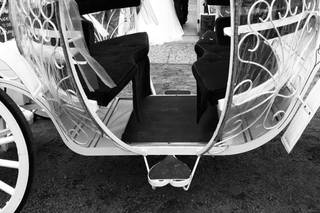Cinderella Carriage LLC - 7