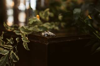 Amy Weits Photography & Designs - 7