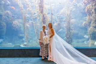 Willmus Weddings - 28
