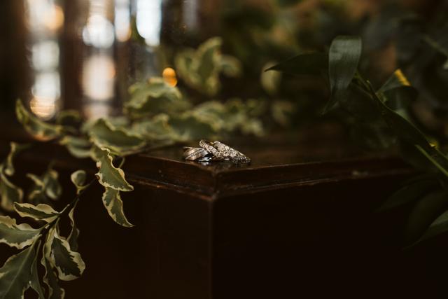 Amy Weits Photography & Designs - 1