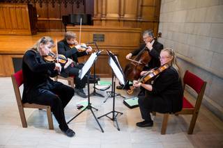 Landolfi String Quartet and Ensemble - 12