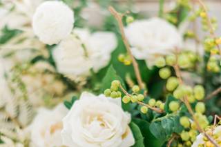 Tyler Speier Events - 24