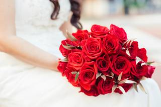 Laurentina Photography - 6