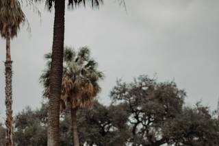Riley Glenn Photography - 37