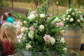 Carolina Roses - 134