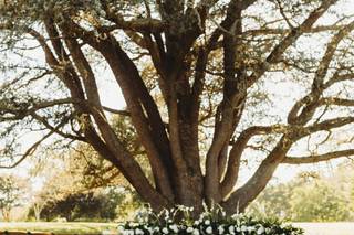 Petals and Lace Events - 23