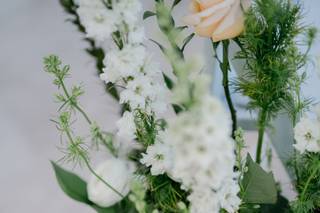 Krystle Akin Photography - 5