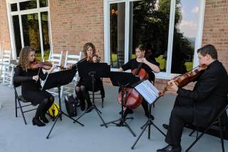 Anderson String Quartet - 20