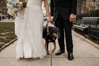 Jill Andrews Gowns - 14
