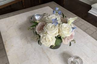 Marah Cole Designs - 11