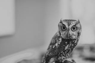 National Aviary - 17