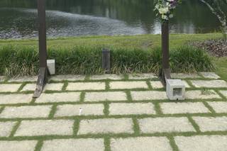 Florida Wedding Supplies - 27