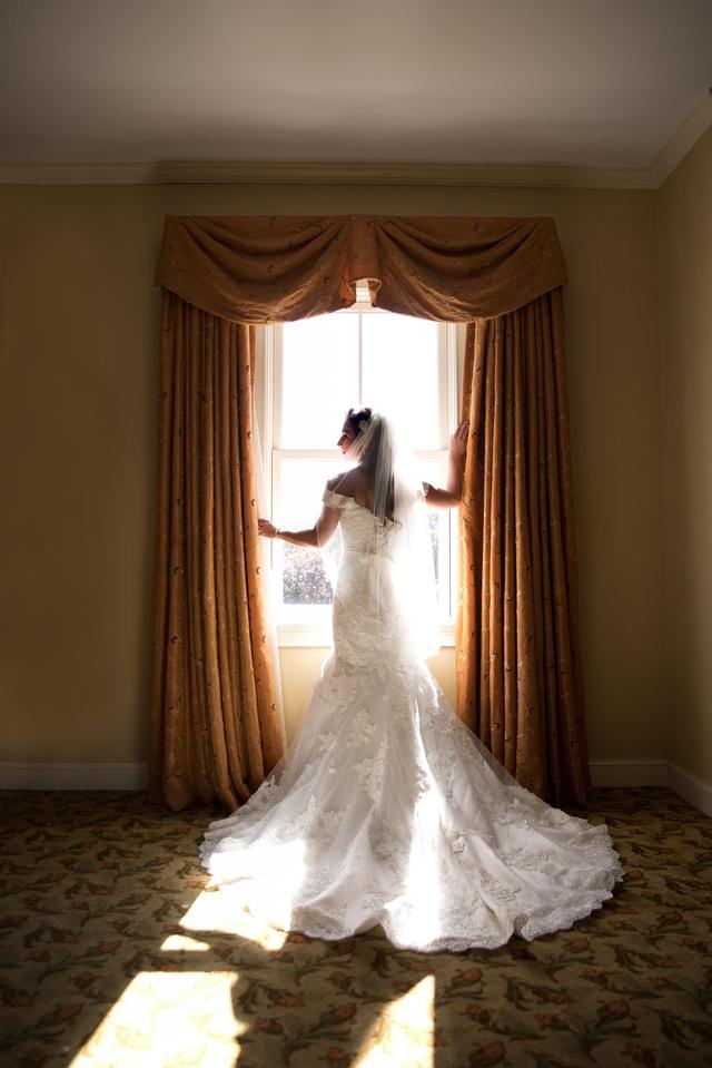 Bonnie Wireback Photography - 2