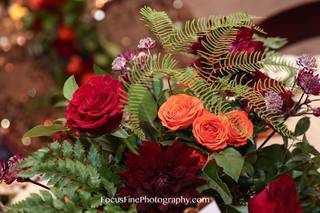 Dragonfly Events and Design - 16