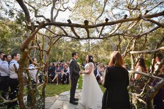 The Ginger Officiant - 42