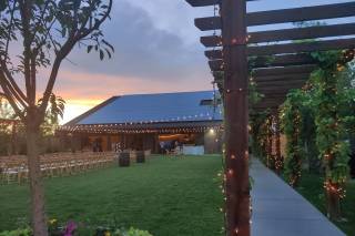 Balistreri Vineyards - 28