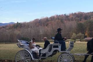 Willow Creek Farm - 77