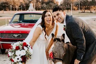 Erica Bonorden Photography - 43