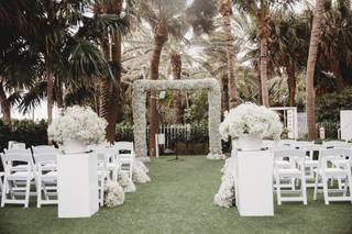 Dianthus Miami Inc. - 9