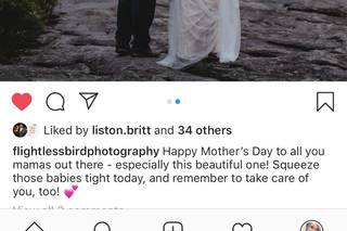 Flightless Bird Photography - 27