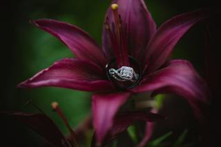 Diane Kivler Photography, LLC - 68