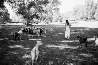 Hilltop Guest Ranch & Vineyards - 8