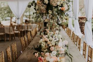 Jackie Fogartie Events - 48