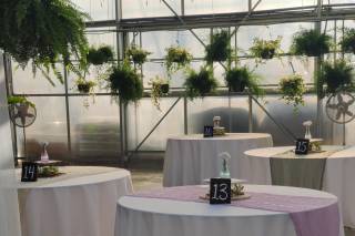 Buchwalter Greenhouse - 6
