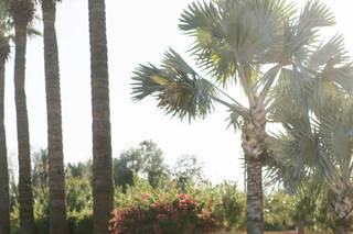 Dash Event Company - 20