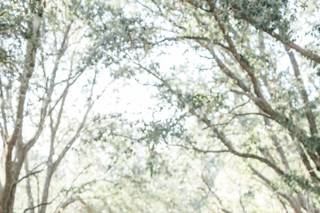 Sarah Anne Photography - 67