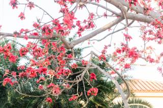 K&K Photography - 44
