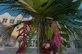 Weddings By Epic- Planning and Design - 6