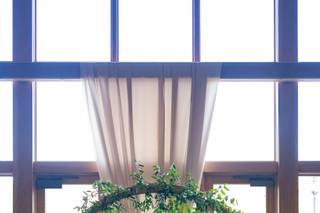 Folls' Flowers - 42