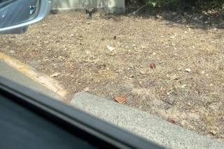 Ashton Gardens North Houston by Walters Wedding Estates - 6