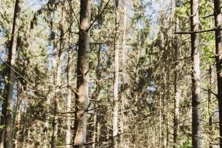 The Kruks Photography - 67