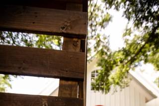 Elizabeth Birdsong Photography 5