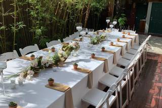 Sensational Experiences - 15