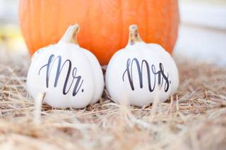 Stephanie Batten Photography - 16