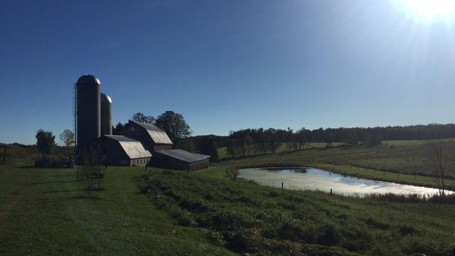 Longacre Farm Weddings - 4