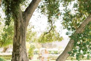 Alicia and Co. Events - 9