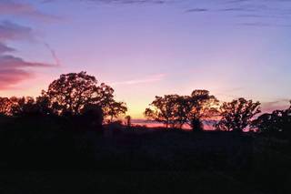 White Oak Savanna - 9