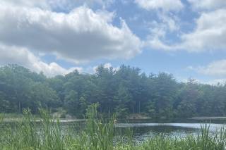 Arrow Park Lake and Lodge - 31