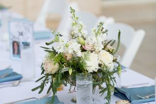 The Caines - 7