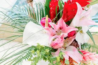 Tropic all Blooms n' More - 19